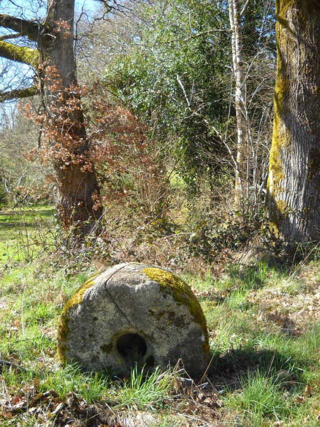 Chemin-ombragé-de-la-Fontaine-de-Chazelles.jpg