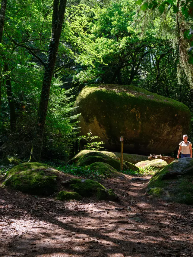 Randonnée pédestre - Monts de Guéret