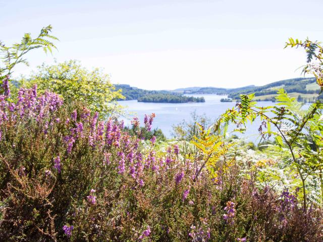 Lande du Puy de la Croix _ Lac de Vassiviere© Maxime Authier 2022