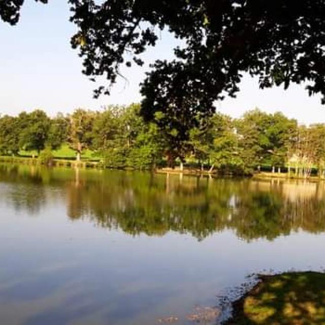 Pond of Chaux_V. MARTIN