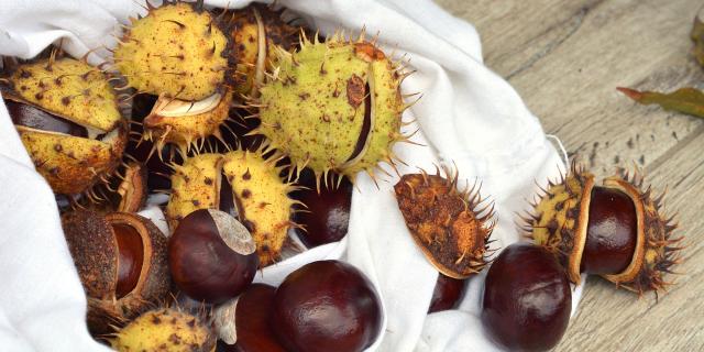 chestnuts-par-utroja0-Pixabay.jpg