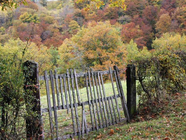 Nature 02 ©tourisme Aubusson Felletin