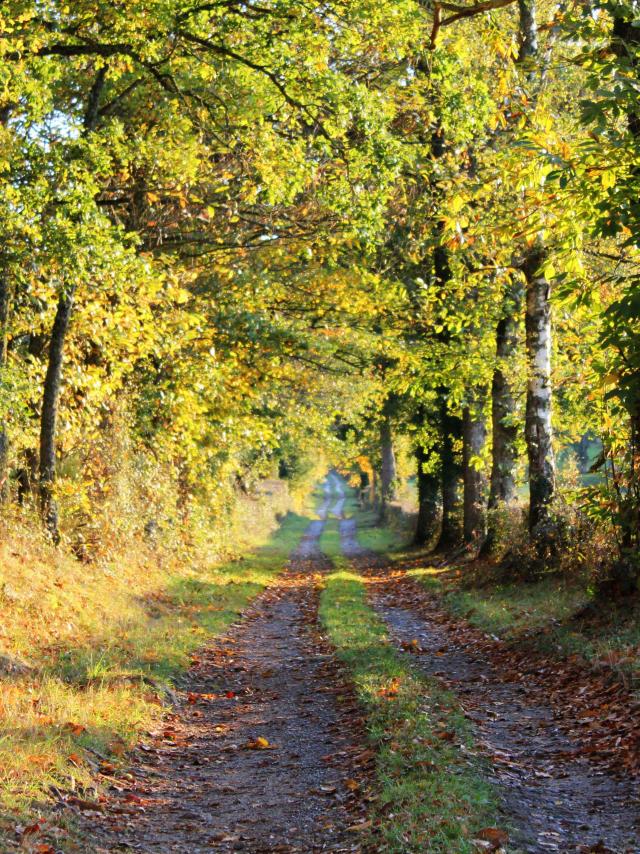 Nature 04 ©tourisme Aubusson Felletin