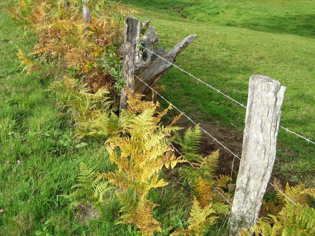 Nature 09 ©tourisme Aubusson Felletin