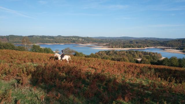 Lac de Vassivière ©Elodie Gomez