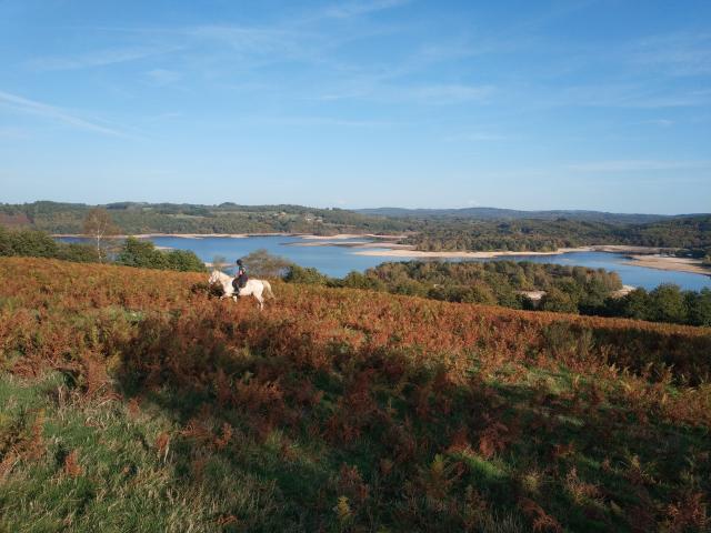 Lac de Vassivière ©Elodie Gomez