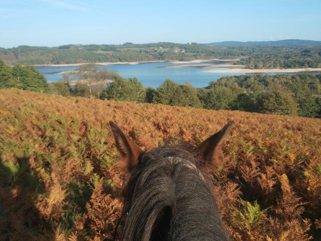 Lac de Vassivière ©Elodie Gomez