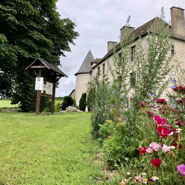 Merinchal Château De La Mothe ©mcea (6)