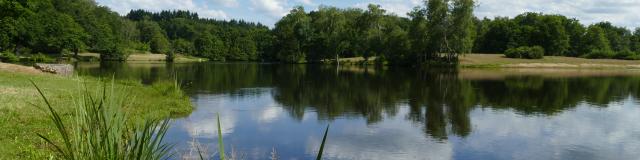 Etang Chaux Mcea (2)