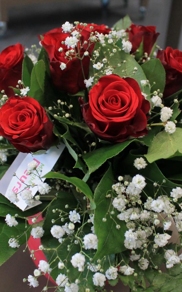 Roses Saint valentin