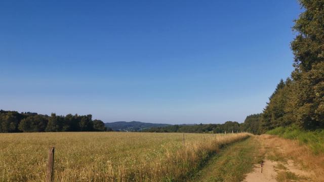 chemin de traverse