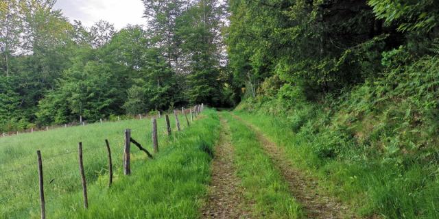 chemin de traverse