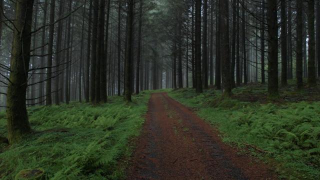 chemin de traverse