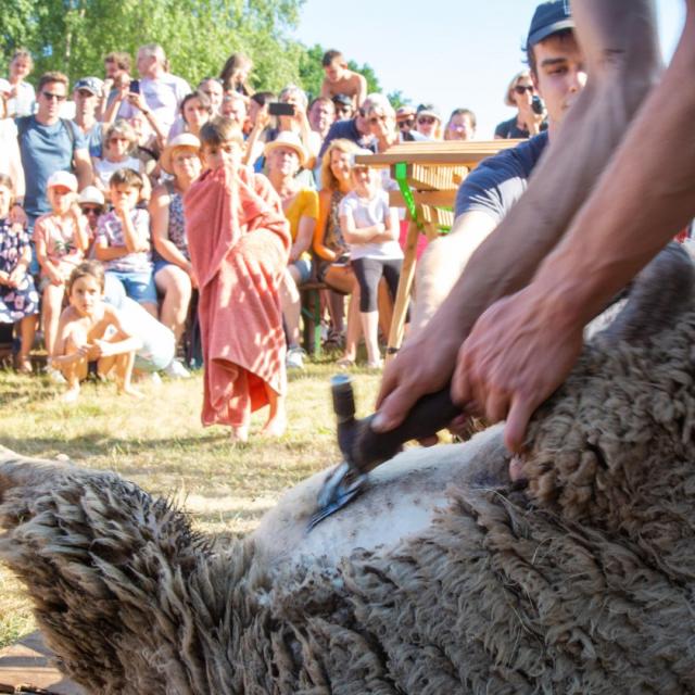 Faites Des Bergers Vassiviere©Maxime Authier 2022