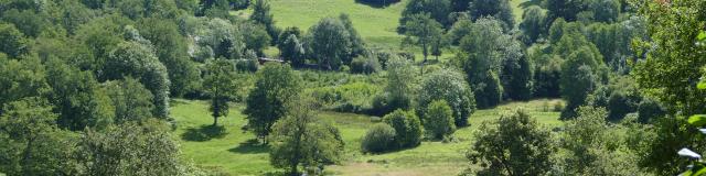 Paysage - Environs de Crocq