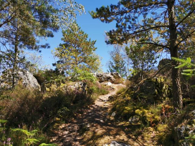 chemin de traverse