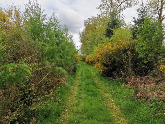 chemin de traverse