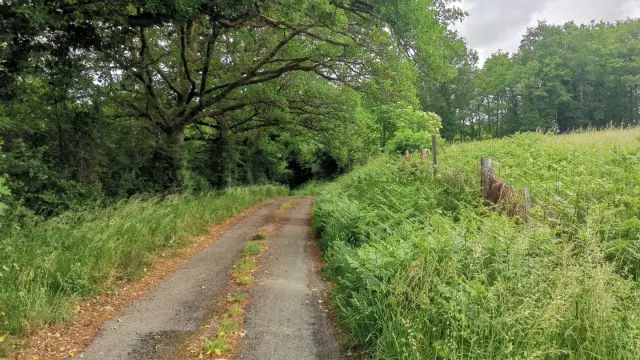 Boucle vélo N°50 Saint Dizier Leyrenne et la vallée du Thaurion