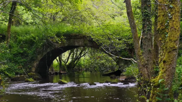 Pont Péri - Boucle locale N°52