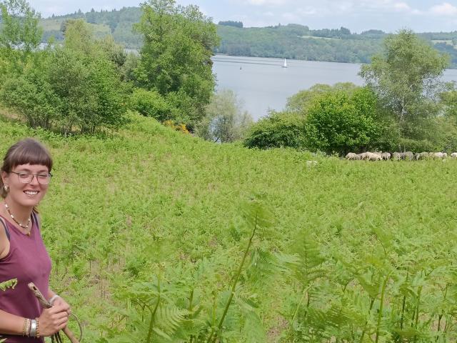 pastoralisme lac de Vassivière