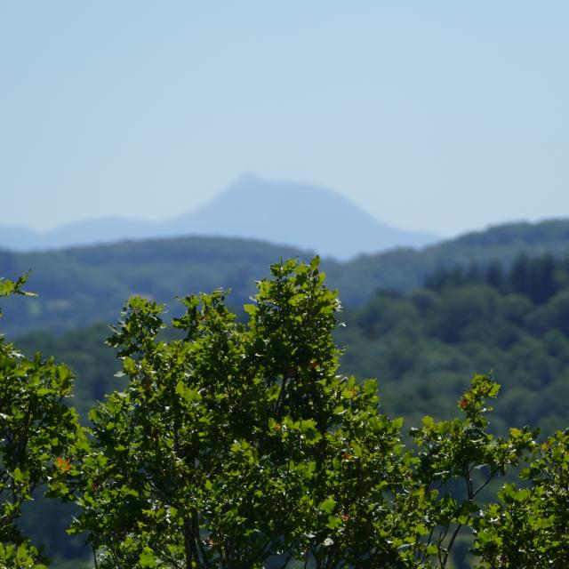 VUE SUR LE PUY-DE-DOME