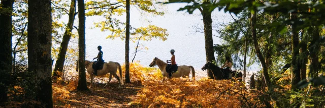 Apn Cheval Vassiviereclara Ferrand Creuse 2022 Nov2027 1