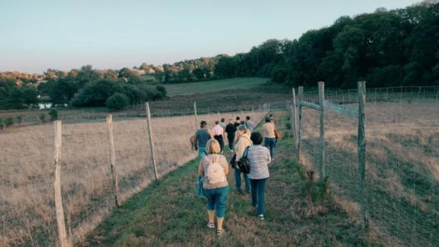 Soirée brame à l'élevage de Secondat dans la Creuse