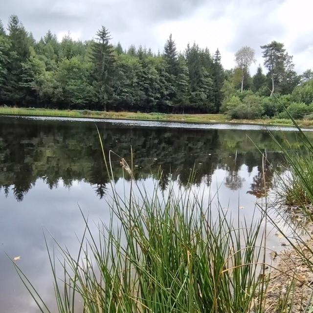 Etang De Peche Dans La Creuse