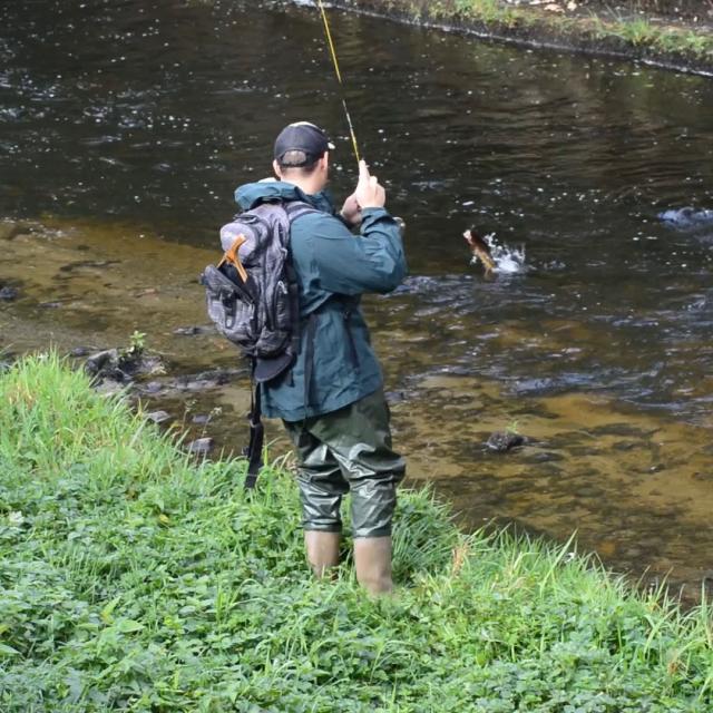 Peche Creuse