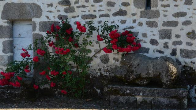 La Chapelle Saint Martial