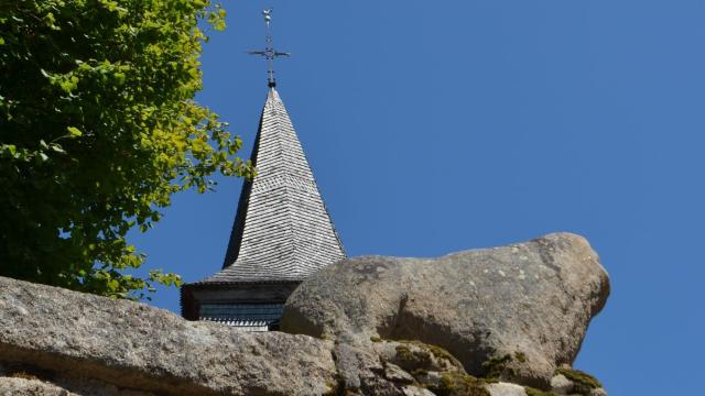 Lion de St Georges la Pouge