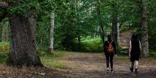 DONTREIX_ Forêt de Drouille