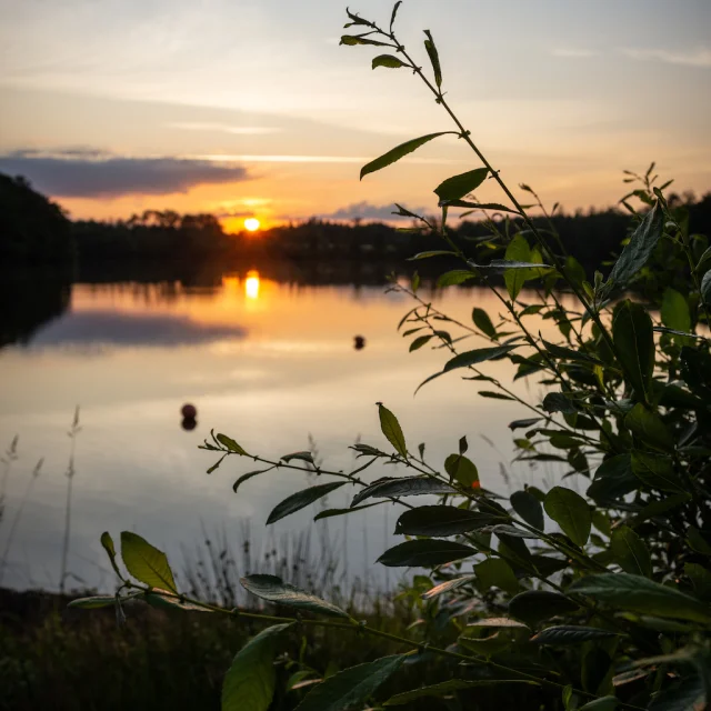 Lacustra Etang De La Ramade 3