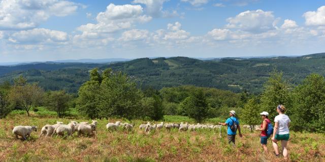 randonnée dans les landes d'Augerolles-département 23