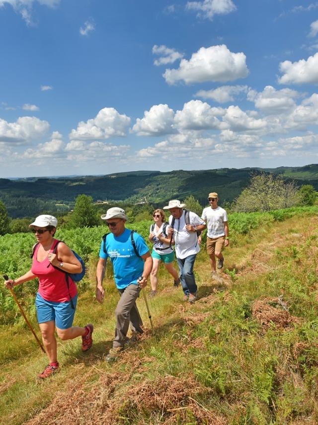 randonnée dans les landes d'Augerolles-département 23