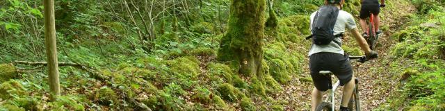 Forêt d'Epagne-equitation-vtt-rando-Syndicat Mixte du Pays Sud Creusois-02/07/2016