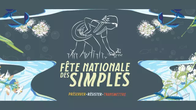 Bannière été des Simples Vassivière 2024