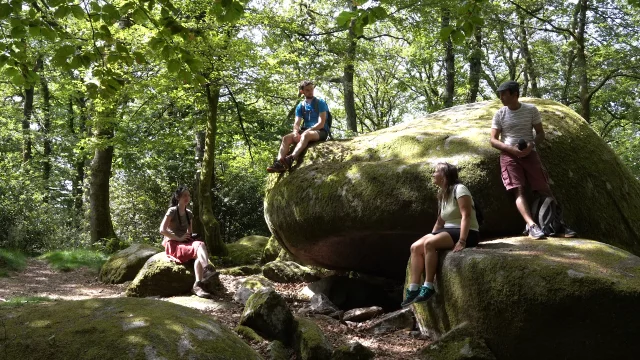 Gueret Rando Foret Chabrieres Saison Or2