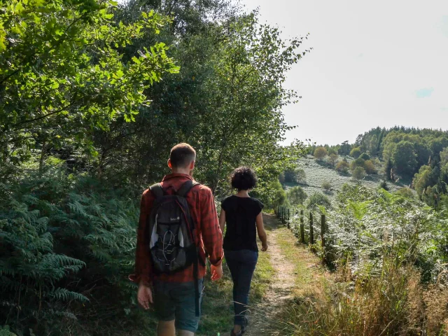 Pnr Randonnee Chemin Plateau Saison D Or3