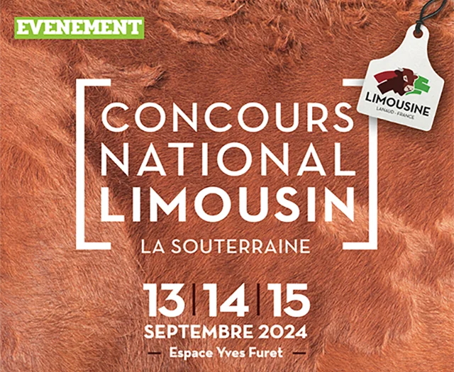 Concours National Limousin A La Souterraine 1