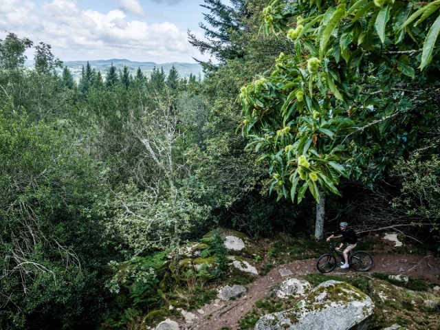 Header - Monts de Guéret