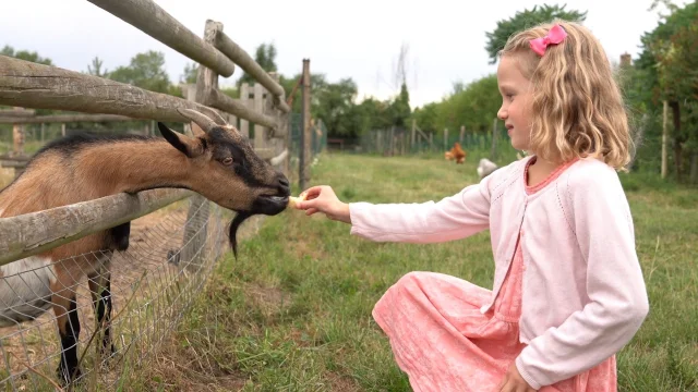 La Ferme Des Clautres Creuse Saison Dor