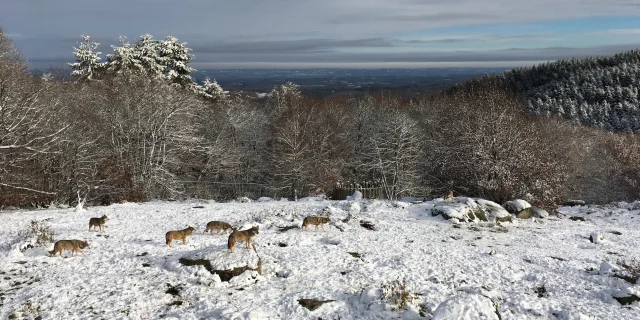 Parc Animalier des Monts de Guéret 