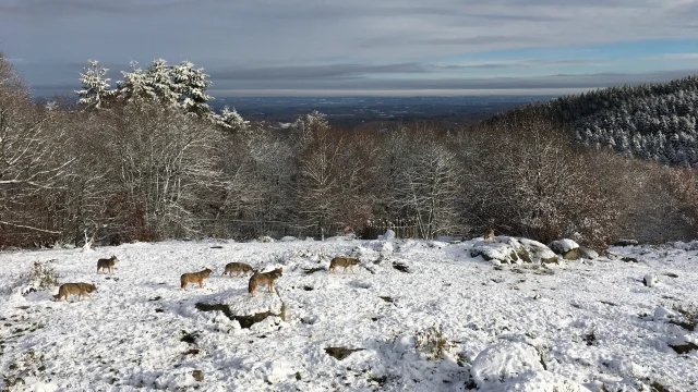 Parc Animalier des Monts de Guéret 