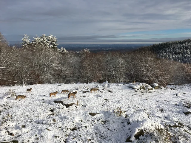 Parc Animalier des Monts de Guéret 