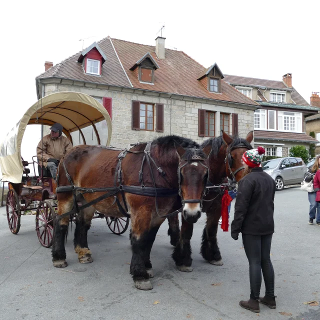 Marche De Noel Crocq 2025 Mcea G.samaey 11