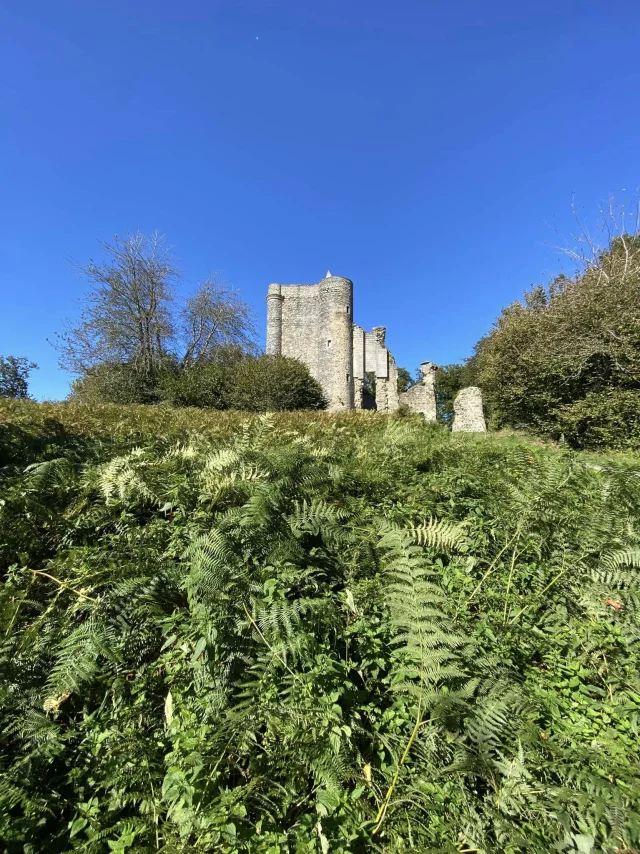 Château de Montaigut-le-Blanc (Monts de Guéret)