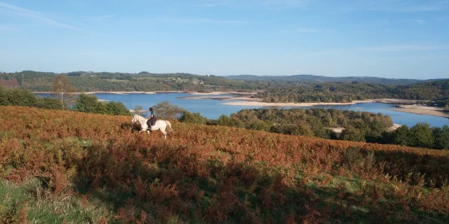 Lac de Vassivière ©Elodie Gomez